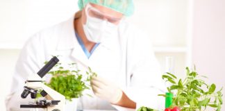 FOOD SCIENCE AND NUTRITION COURSES IS AN EMERGING FIELD WITH GOOD JOB PROSPECTS