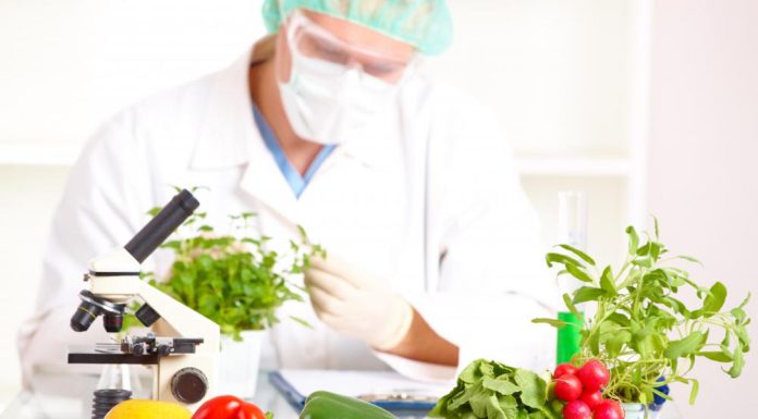 FOOD SCIENCE AND NUTRITION COURSES IS AN EMERGING FIELD WITH GOOD JOB PROSPECTS