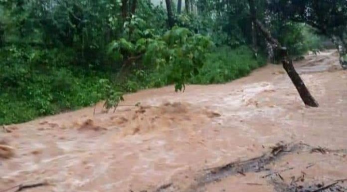 ಭೋರ್ಗರೆಯುವ ತೊರೆಗೆ ಸೇತುವೆ ಕಟ್ಟಿದ ಏಕಾಂಗಿ ಕೃಷಿಕ