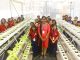 Orchids – The International School implemented Horticulture in school curriculum