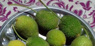 ಅಪರೂಪದ ತರಕಾರಿ ಮಡೆ ಹಾಗಲಕಾಯಿ