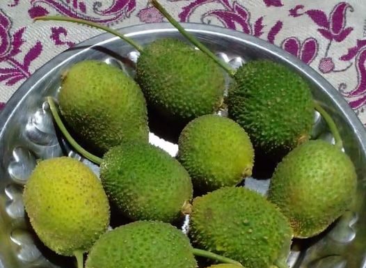 ಅಪರೂಪದ ತರಕಾರಿ ಮಡೆ ಹಾಗಲಕಾಯಿ