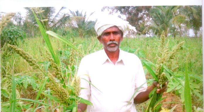 ಯಶೋಗಾಥೆ : ಸಕ್ಕರೆ ನಾಡಿನಲ್ಲಿ ಸಮಗ್ರ ಕೃಷಿ ಚಮತ್ಕಾರ !