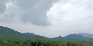 ಹಸಿರು ಆರ್ಥಿಕತೆಗೆ ಕಾಲ ಪಕ್ವವಾಗಿದೆ