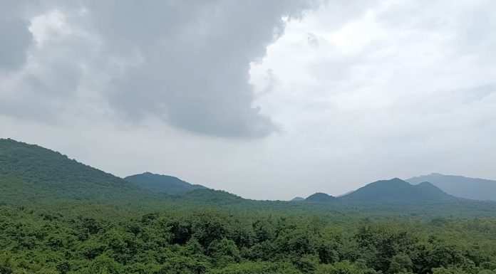 ಹಸಿರು ಆರ್ಥಿಕತೆಗೆ ಕಾಲ ಪಕ್ವವಾಗಿದೆ