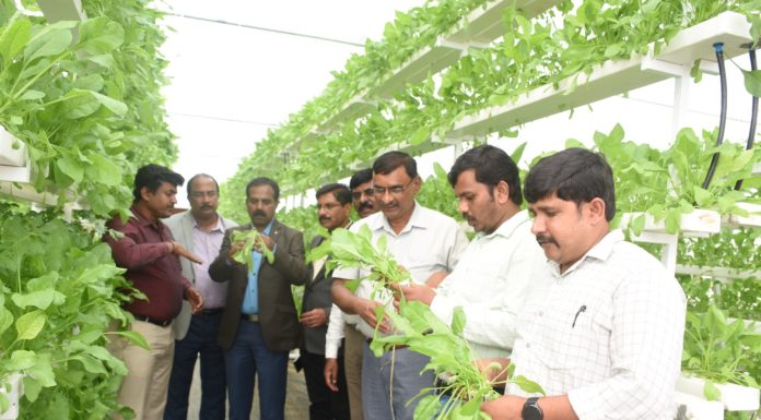 ಮಣ್ಣು ರಹಿತ ಜಲಕೃಷಿಯ ರೀತಿಗಳು