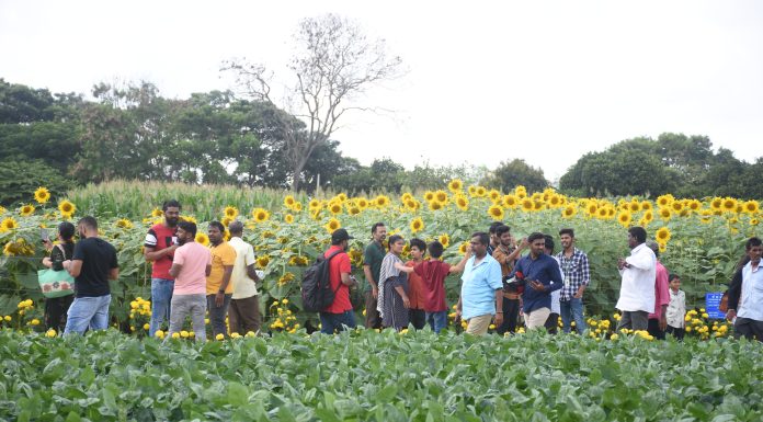 ಕೃಷಿಮೇಳಕ್ಕೆ ದಾಖಲೆಯ ಜನಸಾಗರ