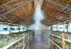 Seasonal management of silkworms