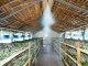 Seasonal management of silkworms