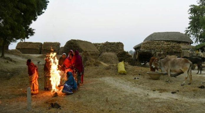 ತೀವ್ರ ಚಳಿಗಾಲ ; ಕೃಷಿಕರು ವಹಿಸಬೇಕಾದ ಮುಂಜಾಗ್ರತೆ