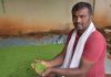 ಸಮಗ್ರ ಕೃಷಿಯಿಂದ ಬೆಳಗುತಿದೆ ರವಿಯ ಬಾಳು