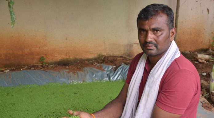 ಸಮಗ್ರ ಕೃಷಿಯಿಂದ ಬೆಳಗುತಿದೆ ರವಿಯ ಬಾಳು