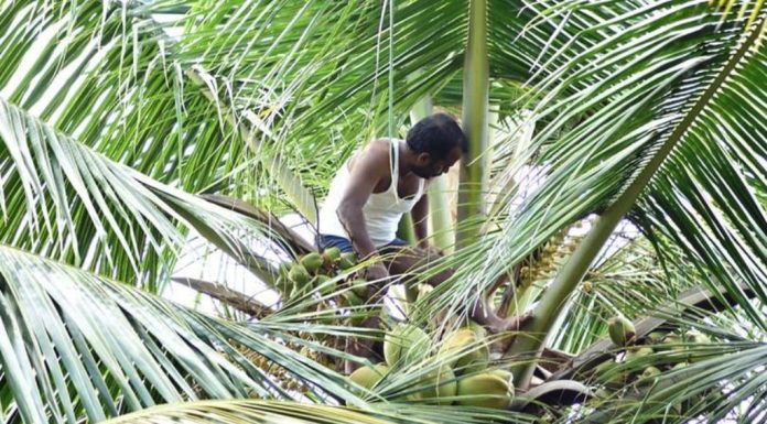 ಕಾಲವಲ್ಲದ ಕಾಲದಲ್ಲಿ ಮಳೆಯಿಂದ ಏನೆಲ್ಲ ಅನಾಹುತ !