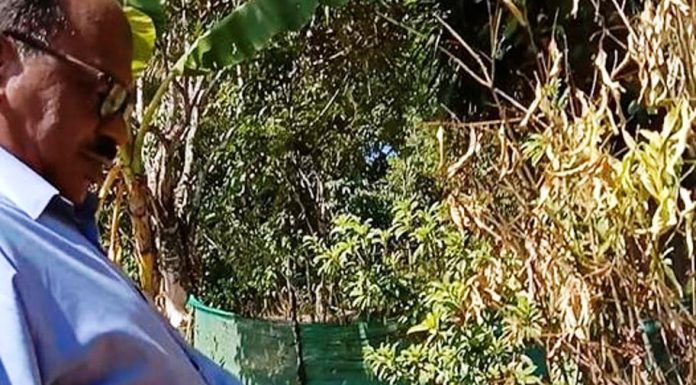 ತೋಟಗಾರಿಕೆಯಲ್ಲಿ ಹೆಚ್ಚು ಫಸಲು ಪಡೆಯಬೇಕೇ ? ಈ ವಿಧಾನ ಅನುಸರಿಸಿ