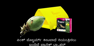 ಪಿಂಕ್ ಬೊಲ್ವರ್ಮ್ ಕೀಟಬಾಧೆ ನಿಯಂತ್ರಿಸಲು ಬಂದಿದೆ ಬ್ಯಾರಿಕ್ಸ್ ಟ್ರ್ಯಾಪರ್