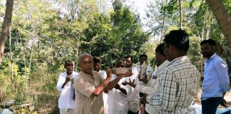 ದುರ್ಬಲ ಮಣ್ಣಿಗೆ ಚೇತರಿಕೆ ಕೊಡುವ ಬೆಳೆಯುಳಿಕೆಗಳು