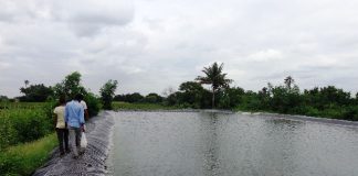 ನೀರು ಸಂಗ್ರಹಣಾ ಕೊಳಗಳಲ್ಲಿ ಮೀನು ಮರಿ ಸಾಕಣೆ