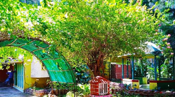ಕೃಷಿಭೂಮಿಯನ್ನು ವಿನ್ಯಾಸಗೊಳಿಸುವುದು ಏಕೆ ಮುಖ್ಯ