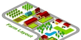 How to design your dream farm land ?