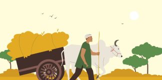 ಮಳೆಯಾಶ್ರಿತ ಕೃಷಿಗೆ ಒತ್ತು ನೀಡಿ