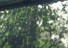 Weather Forecast for the State
