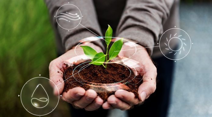 Crop Rotation: Benifits and Examples