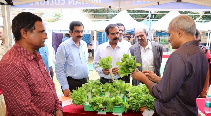 ಕೃಷಿಯು ಉದ್ಯಮವಾದರೆ ಮಾತ್ರ ರೈತರು ಆರ್ಥಿಕವಾಗಿ ಸಬಲರು