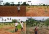 ತೋಟ ಮಾಡುವ ಹಾದಿಯಲ್ಲಿ ಕಹಿ ನಂತರ ಸಂತೃಪ್ತಿ