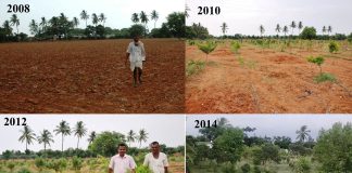 ತೋಟ ಮಾಡುವ ಹಾದಿಯಲ್ಲಿ ಕಹಿ ನಂತರ ಸಂತೃಪ್ತಿ