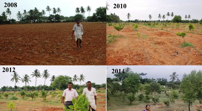 ತೋಟ ಮಾಡುವ ಹಾದಿಯಲ್ಲಿ ಕಹಿ ನಂತರ ಸಂತೃಪ್ತಿ