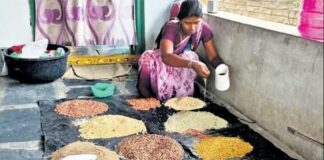 ಸಾವಯವ ಕೃಷಿ ತಂದ ಆದಾಯ, ಪ್ರಶಸ್ತಿಯ ಖುಷಿ