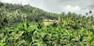 ಬಂಜರು ಭೂಮಿ ನಂದನವನ ಆಯ್ತು