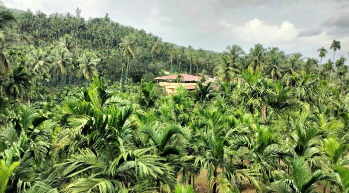 ಬಂಜರು ಭೂಮಿ ನಂದನವನ ಆಯ್ತು