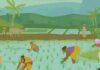 Decision on computerization of agriculture and rural development banks