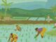 Decision on computerization of agriculture and rural development banks