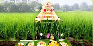 ಭೂಮಿ ಹುಣ್ಣಿಮೆ; ಭೂ ತಾಯಿಗೆ ಬಯಕೆ !