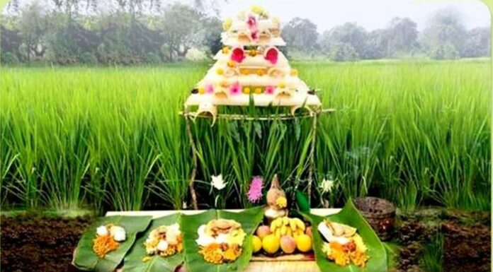 ಭೂಮಿ ಹುಣ್ಣಿಮೆ; ಭೂ ತಾಯಿಗೆ ಬಯಕೆ !