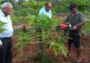 Call to maintain soil quality of farmland