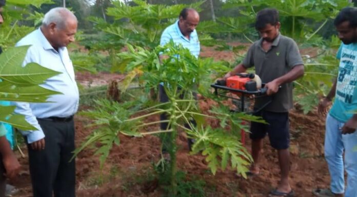Call to maintain soil quality of farmland
