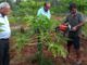 Call to maintain soil quality of farmland