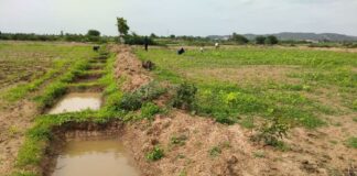ಉದ್ಯೋಗ ಖಾತ್ರಿ ಯೋಜನೆ; ಕೃಷಿಭೂಮಿ ಮೇಲ್ಮಣ್ಣು, ನೀರು ಸಂರಕ್ಷಣೆ