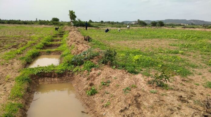 ಉದ್ಯೋಗ ಖಾತ್ರಿ ಯೋಜನೆ; ಕೃಷಿಭೂಮಿ ಮೇಲ್ಮಣ್ಣು, ನೀರು ಸಂರಕ್ಷಣೆ