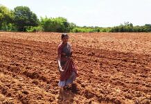 ಬೇಸಾಯ ಬಿಟ್ಟು ಬದುಕಲಾದೀತೇ …?