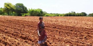 ಬೇಸಾಯ ಬಿಟ್ಟು ಬದುಕಲಾದೀತೇ …?