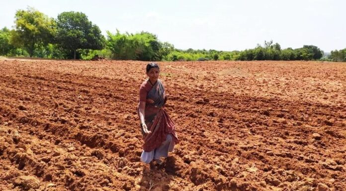 ಬೇಸಾಯ ಬಿಟ್ಟು ಬದುಕಲಾದೀತೇ …?