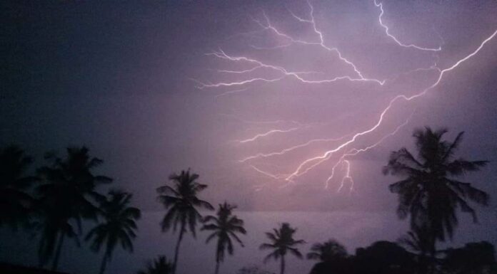 ಮಳೆಗಾಲವೂ ಕೃಷಿಕರ ನೂರೆಂಟು ಸಂಕಷ್ಟಗಳೂ !