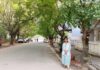 ಬೀದಿಬದಿ ಗಿಡಗಳ ಸಂರಕ್ಷಣೆ ಕಾಯಕ