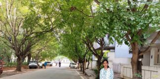 ಬೀದಿಬದಿ ಗಿಡಗಳ ಸಂರಕ್ಷಣೆ ಕಾಯಕ