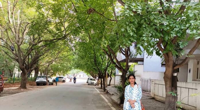 ಬೀದಿಬದಿ ಗಿಡಗಳ ಸಂರಕ್ಷಣೆ ಕಾಯಕ