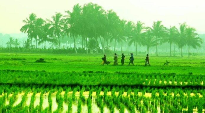 ಕೃಷಿರಂಗದ ಮೂಲಭೂತ ಯೋಜನೆಗಳಿಗೆ ಭಾರಿ ಮೊತ್ತದ ಅನುದಾನ